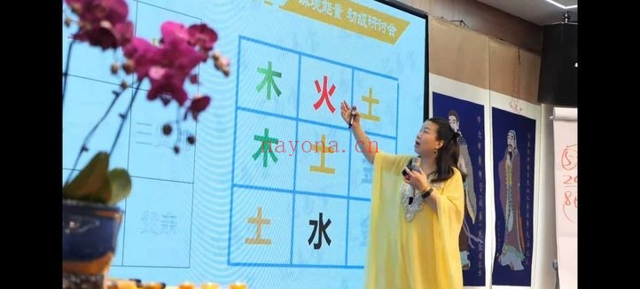徐子辰环境能量研讨会16集视频 环境能量
