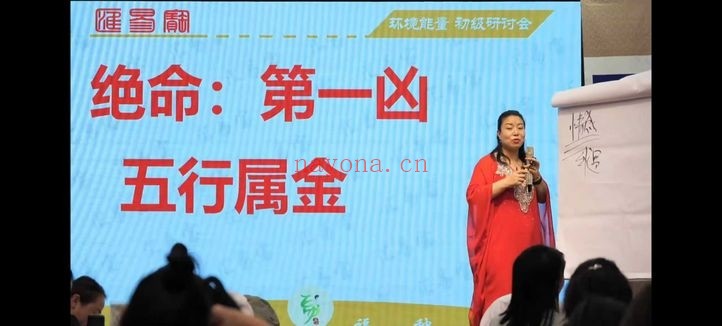 徐子辰环境能量研讨会16集视频 环境能量