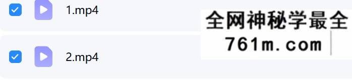 夏光明 赵璟雯(德雯)《速通系列课程之八字制、化方式深度解析》1集视频约2小时