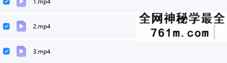 夏光明 李明棋《八字不传之秘之断财富大小一步到位》3集
