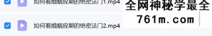 夏光明 周宸晞《如何看婚姻应期的绝密法门》视频2集