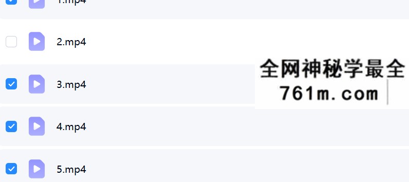 夏光明 光明师亲授《三十六个身家过亿八字》5集
