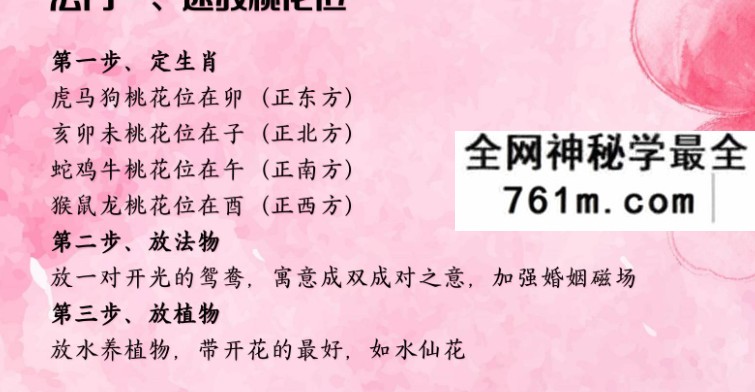 夏光明 光明师亲授《龙虎山绝技·催婚及化解秘籍》23页