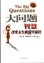 大问题  智慧改变人生的8个途径