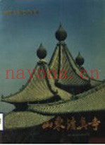 山东清真寺  摄影集