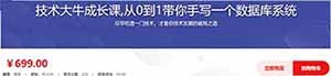 技术大牛成长课从0到1带你手写一个数据库系统 2024