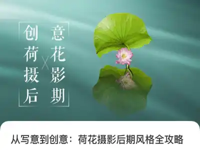 从写意到创意:荷花摄影后期风格全攻略