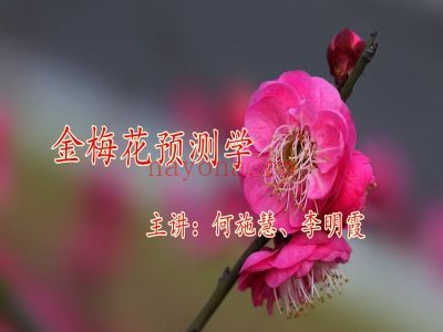国学易经大讲堂