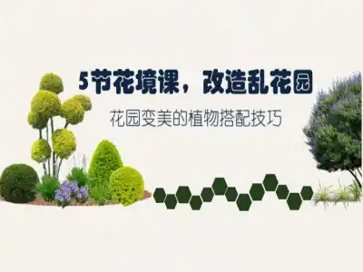 5节花境课,改造乱花园—花园变美的植物搭配技巧