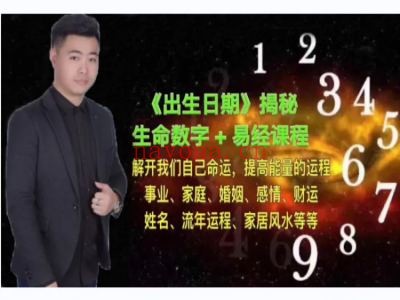 潘禹辰老师