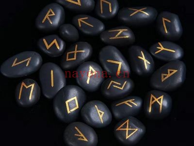白猫塔罗课程