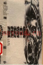 破碎的镜中像：后现代哲学