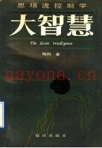 大智慧  思场流控制学