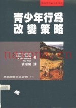 青少年行为改策略