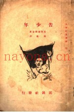 告少年
