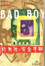 最近比较烦  坏男孩之完全手册