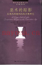 巫术的踪影 后现代时期的比较宗教研究 comparative religion in the postmodern age