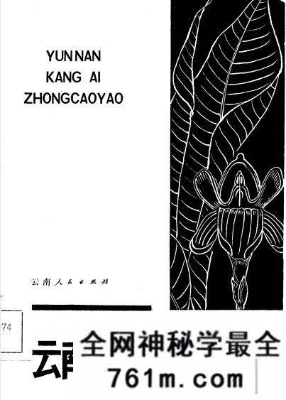 云南抗癌中草药 胡月英 宣明盛编着