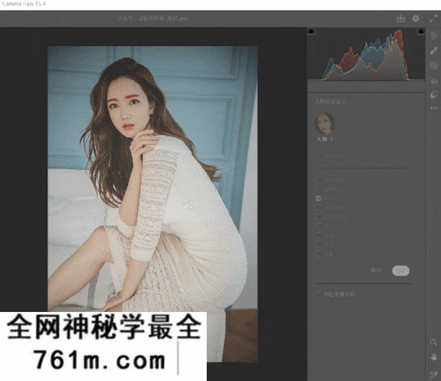 acr (1).gif