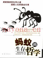 蚂蚁的生存哲学