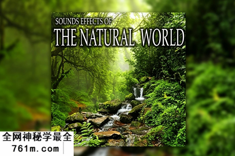 【配乐音效】100个户外乡村自然雨林溪流动物鸟鸣雷雨风暴环境音效 Sound Ideas – Sound Effects Of The Natural World
