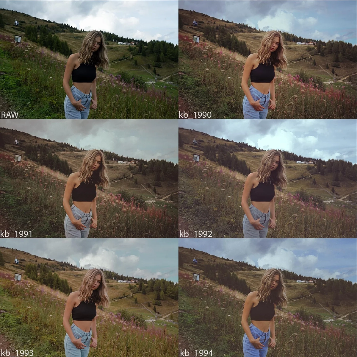23.webp