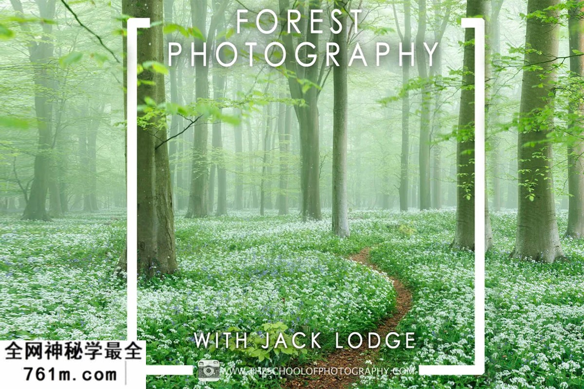 【风光摄影】The School of Photography -Jack Lodge森林风光摄影教程-中英字幕-附素材