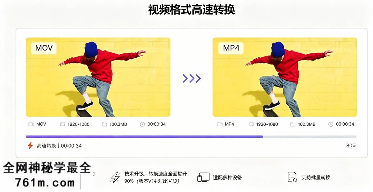 zm (6).png