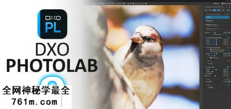 【软件】专业RAW图像后期处理智能降噪软件 DxO PhotoLab 9.8.1 win中文版