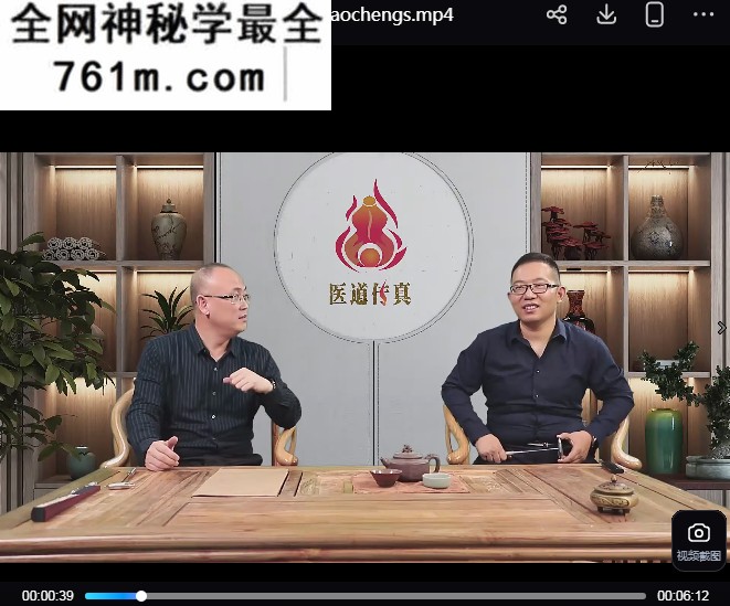 王栋医道传真又名针灸那回事儿视频课程103集