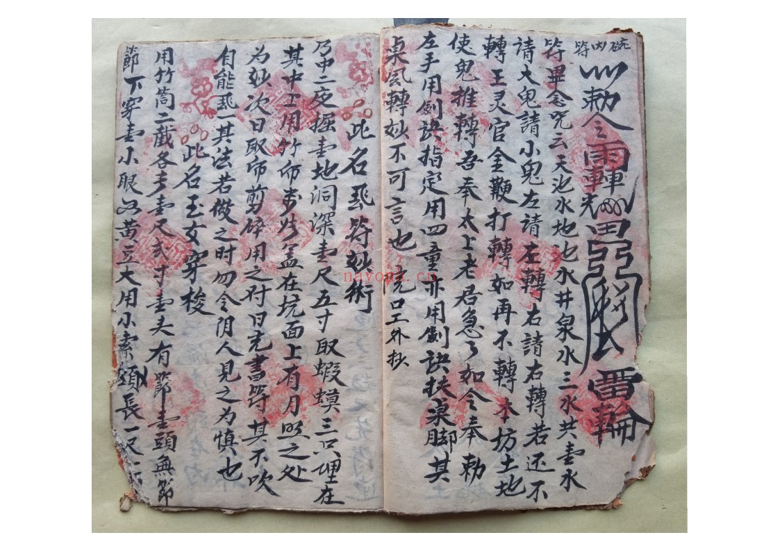 黄禄一宗