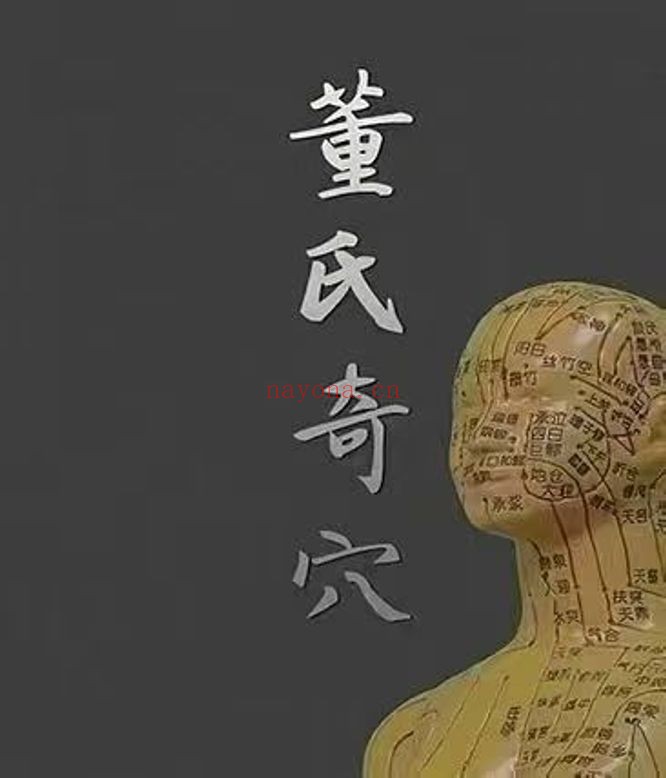 刘红云董氏奇穴临床精进班53集视频 董氏奇穴