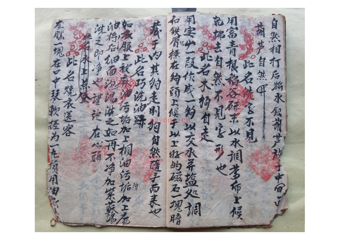 黄禄一宗