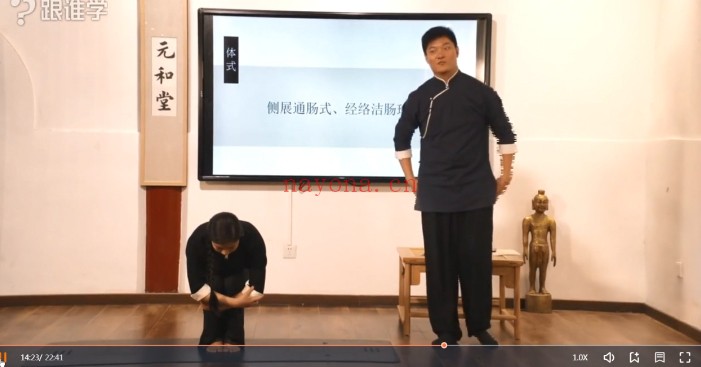 迷罗中医智慧与瑜伽手诊面诊舌诊特训营35节视频