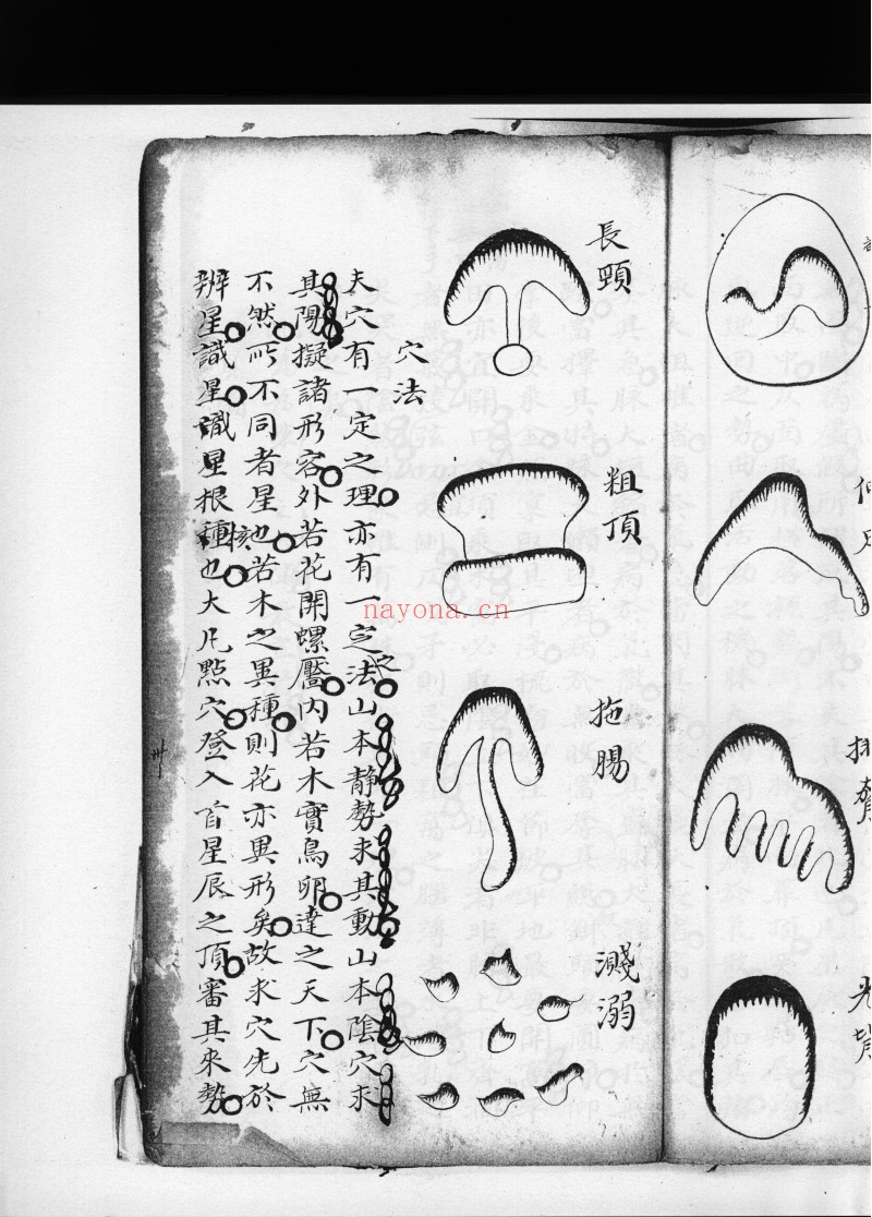 望龙经