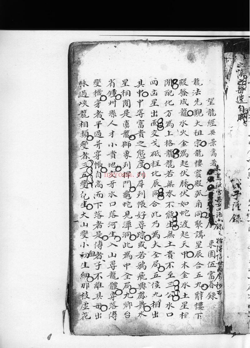 望龙经