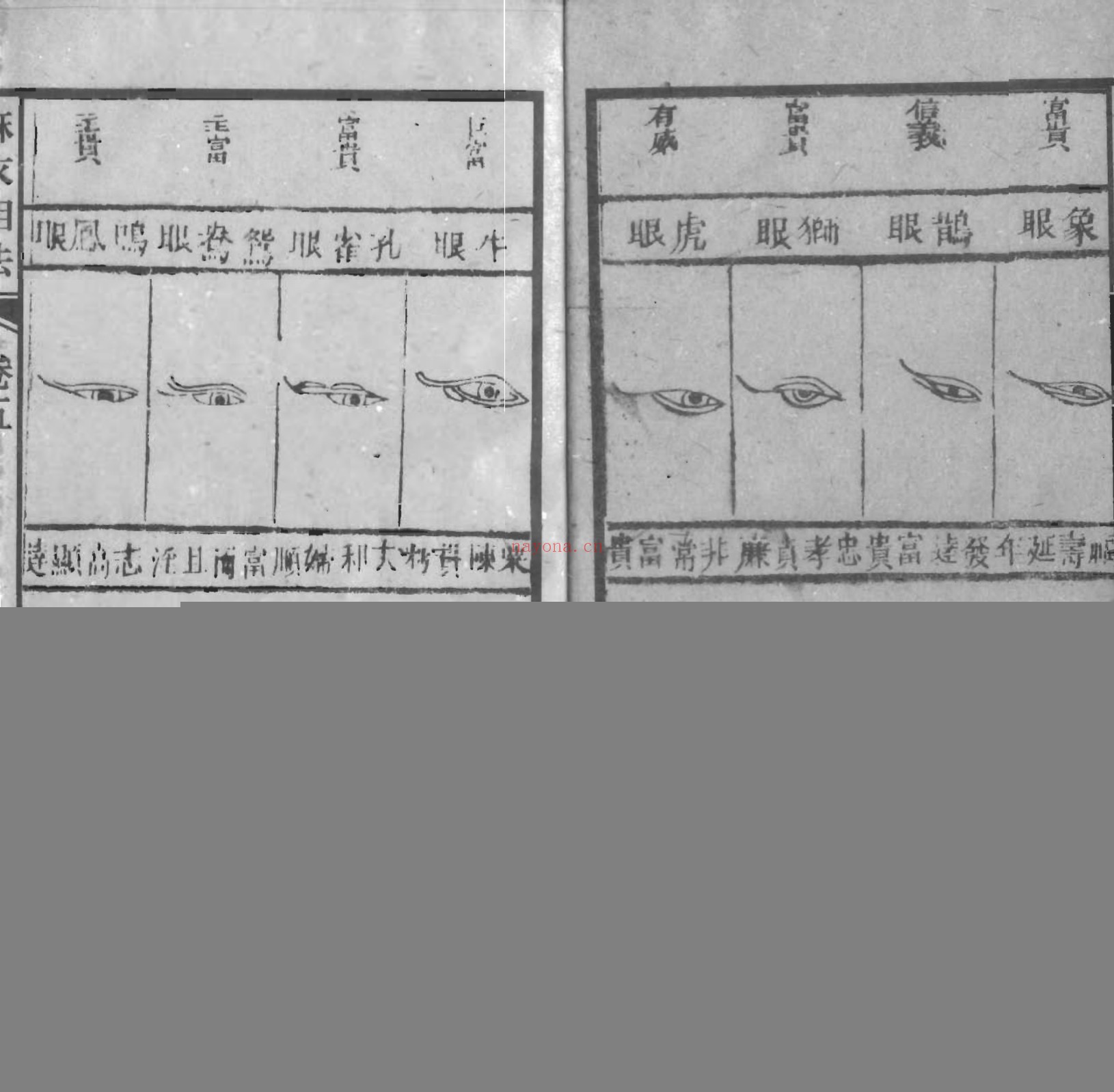 增释麻衣相法全编