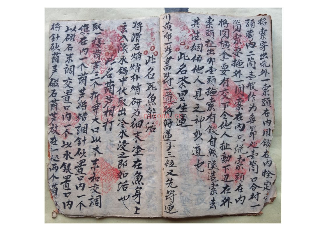 黄禄一宗