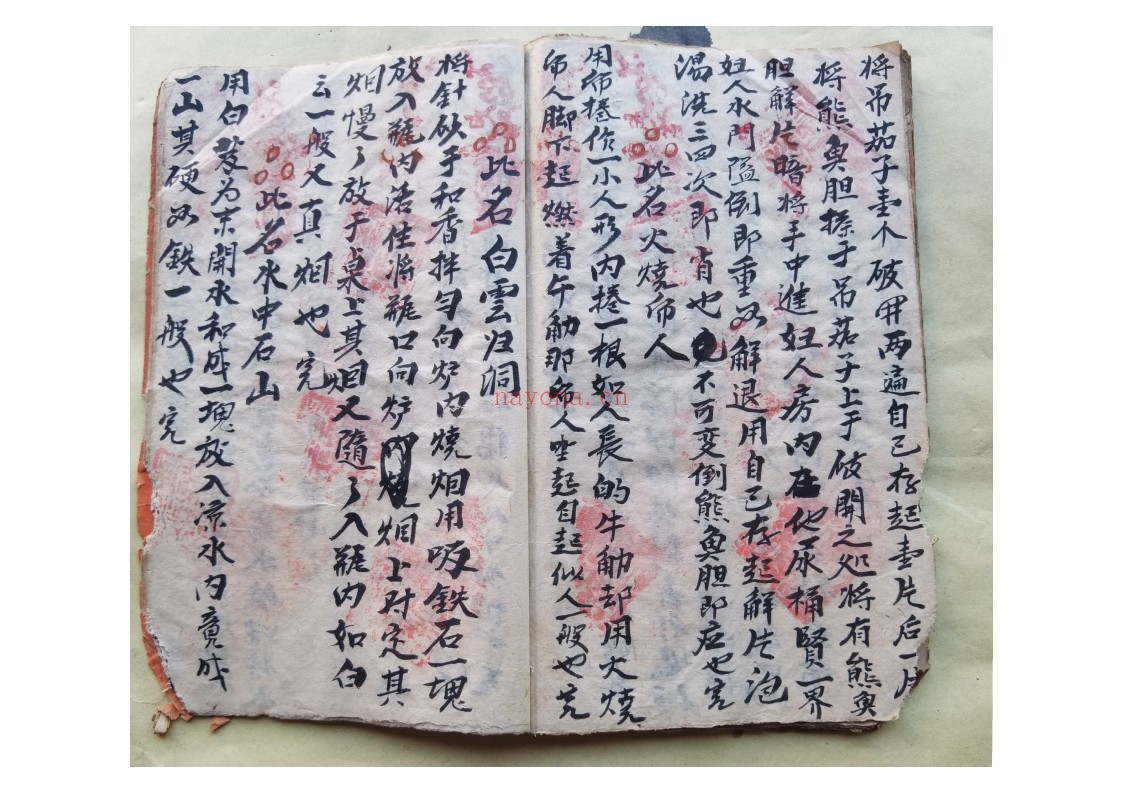 黄禄一宗