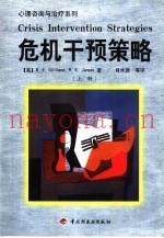 危机干预策略  下