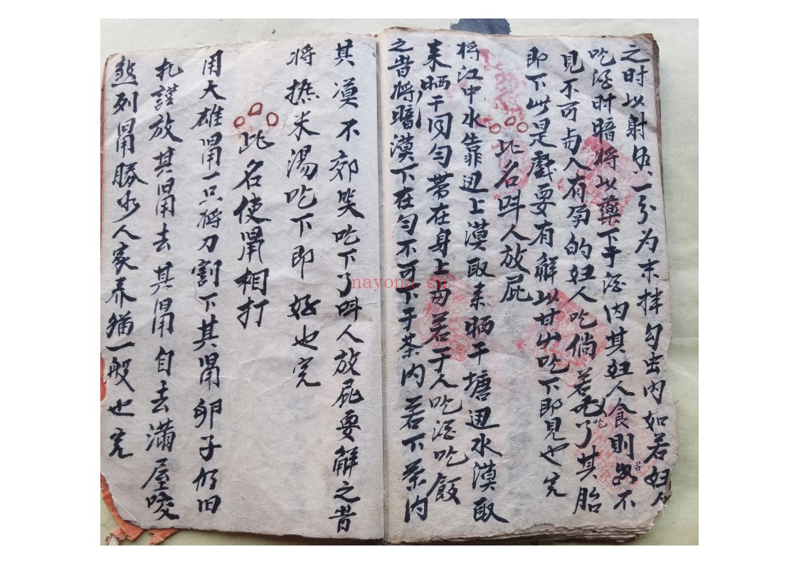 黄禄一宗