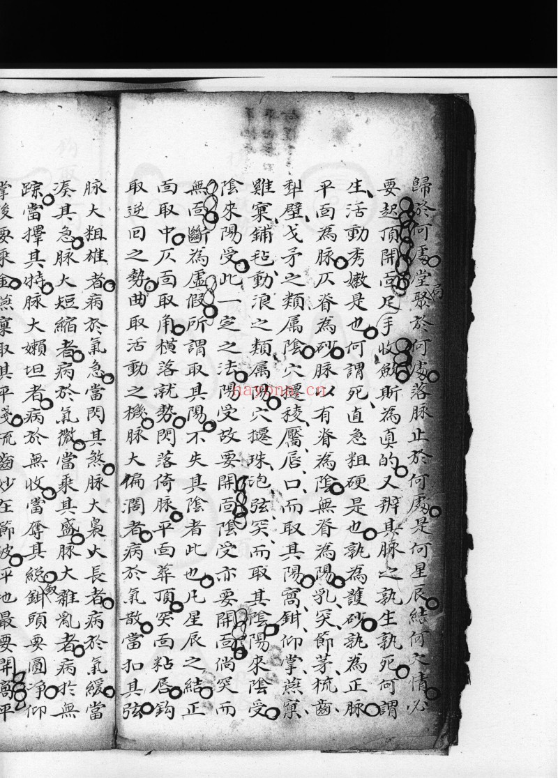 望龙经