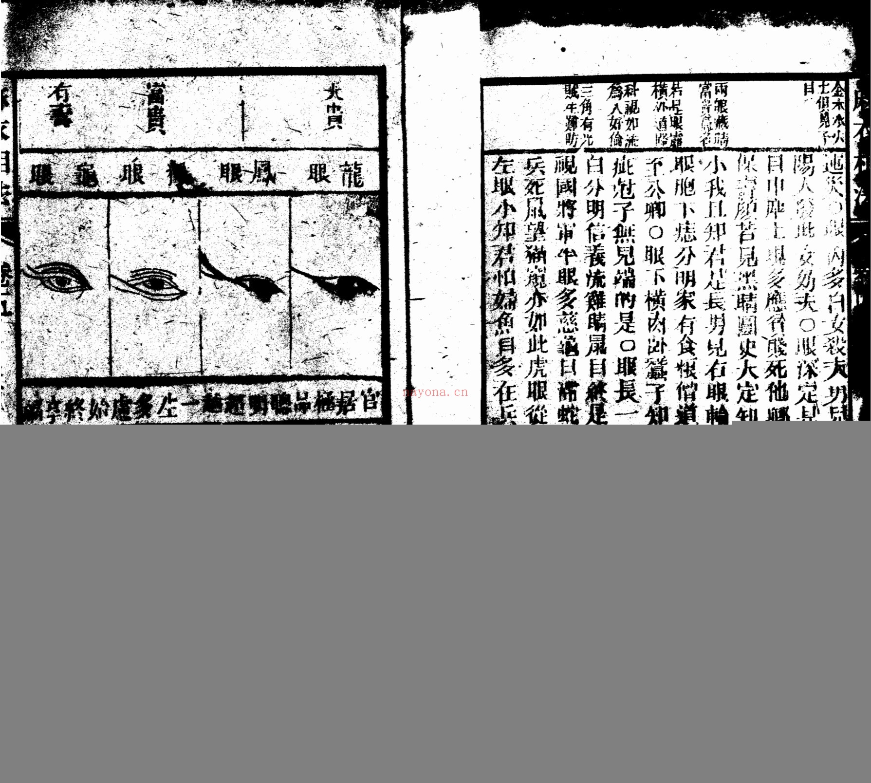 增释麻衣相法全编