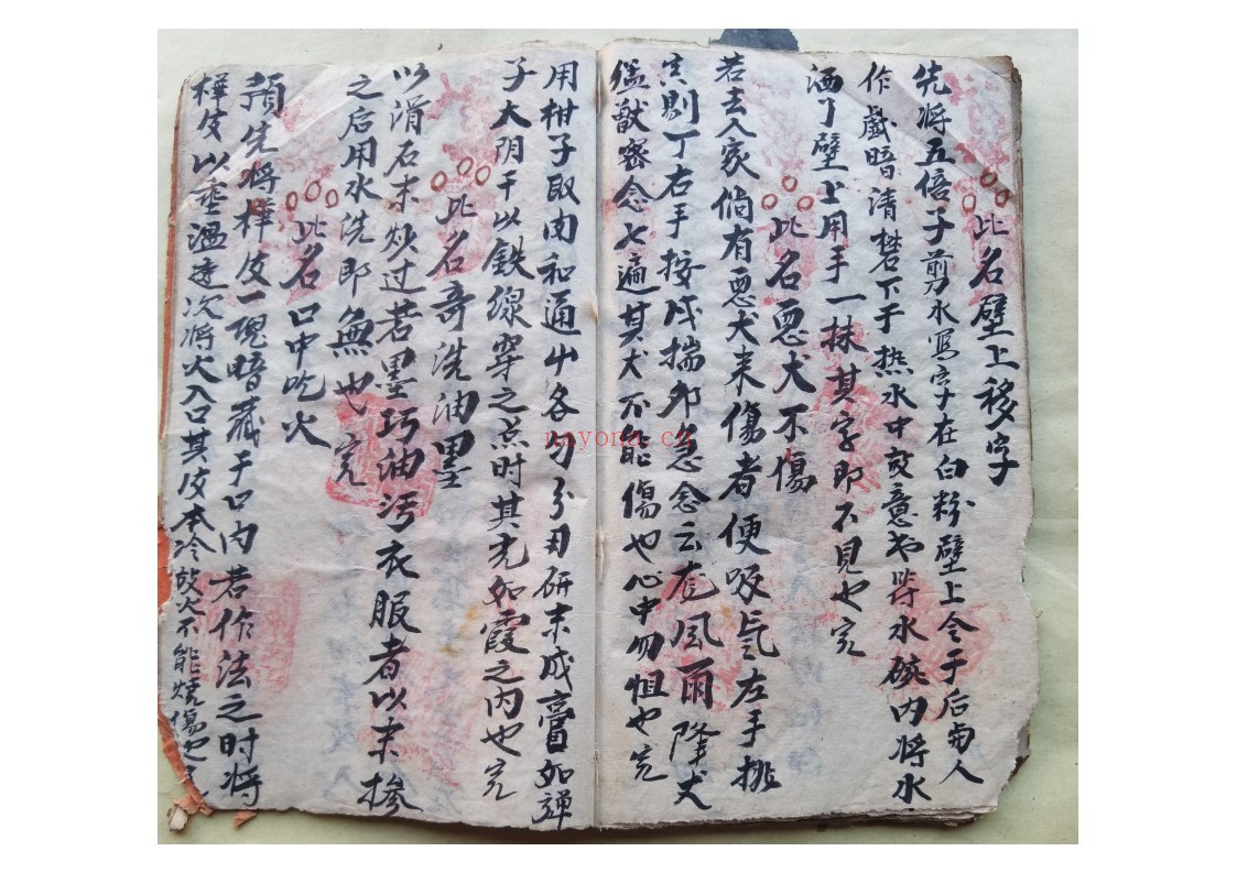黄禄一宗
