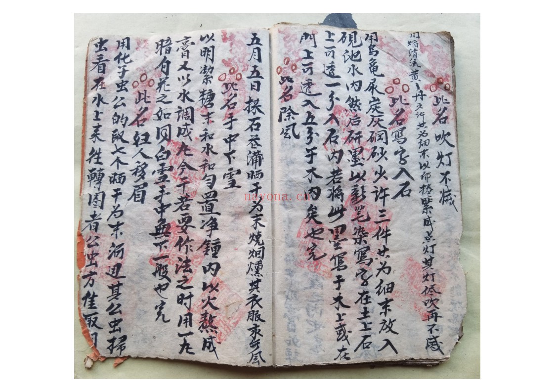 黄禄一宗