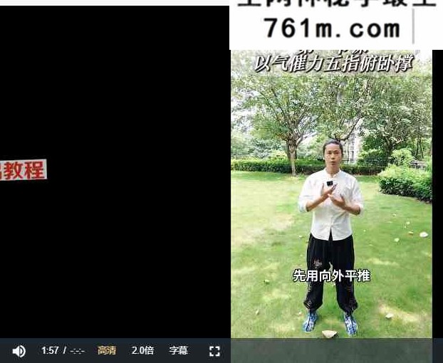 功夫推拿全套手法12讲视频