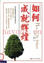 如何成就辉煌  90天改变你的工作和生活方式