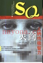 灵商 人的终极智力 The ultimate intelligence
