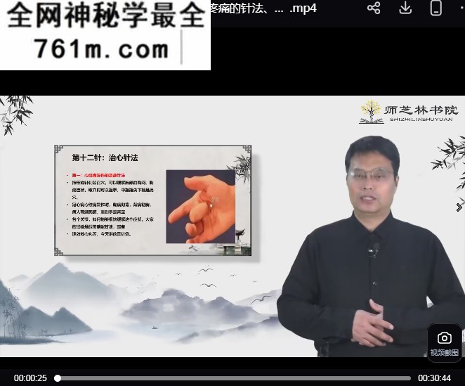 石振强龙武针法视频课程