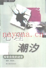 心理潮汐  探索自我的迷宫